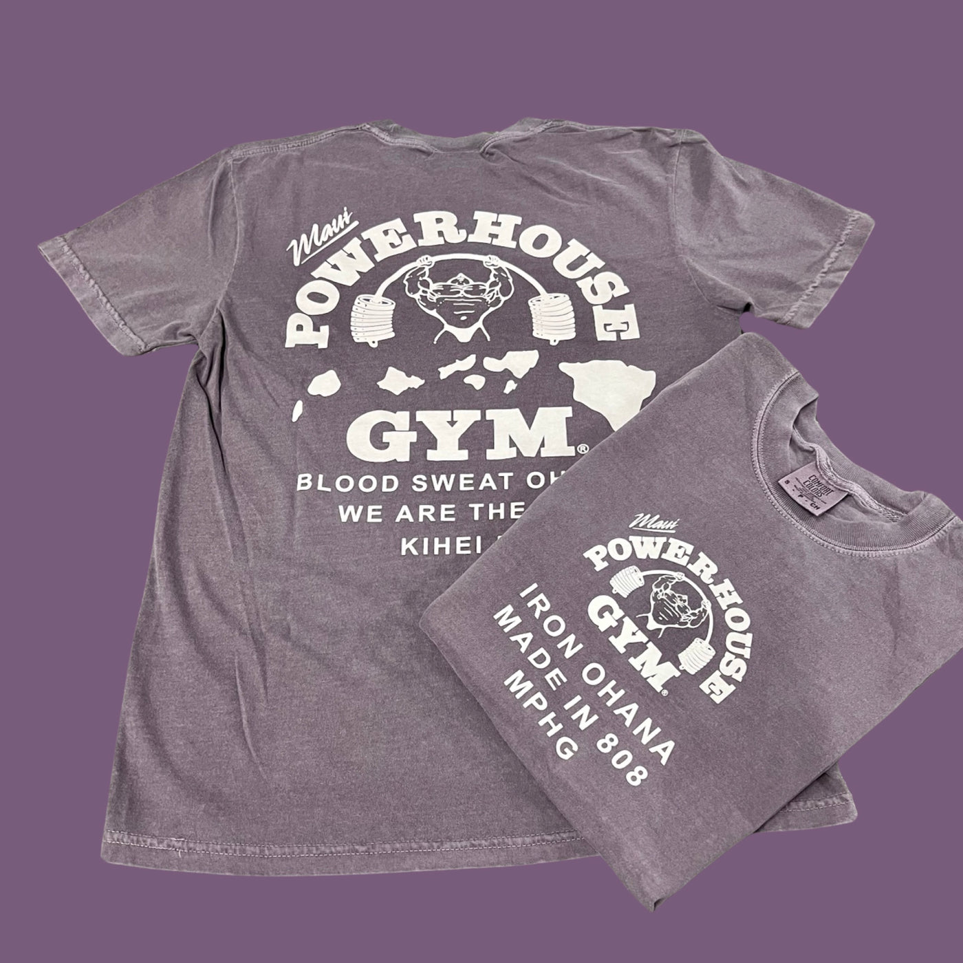 Fitness Powerhouse Gym T Shirt Wholesale Oversized Gym T Shirt